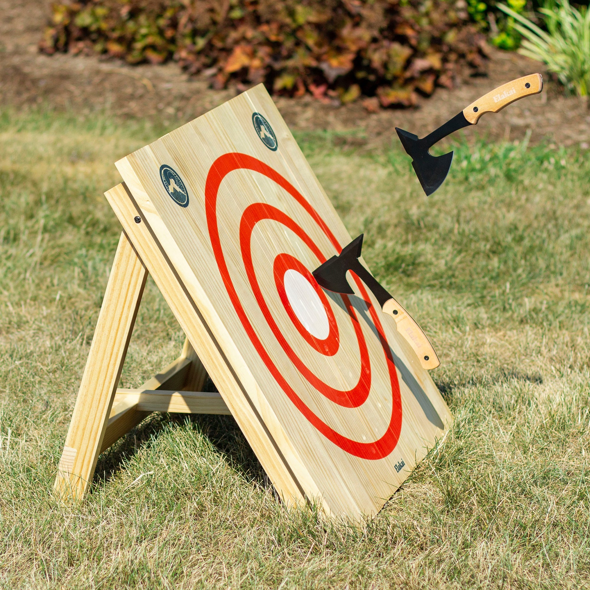 Mini Axe Throw Set